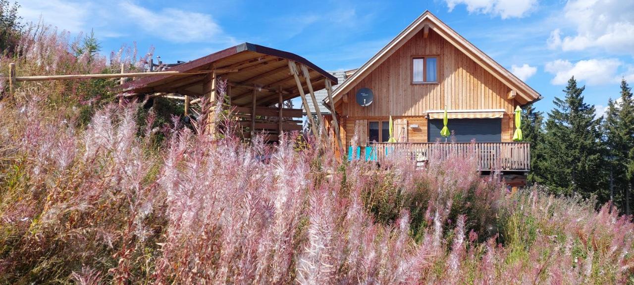 Chalet Die Berghexn Klippitztorl Esterno foto